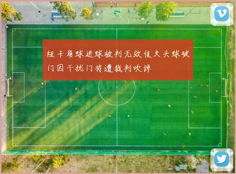 纽卡角球进球被判无效佳夫头球破门因干扰门将遭裁判吹掉